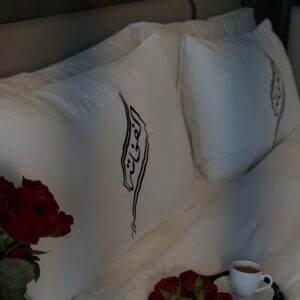 Étoile Pillow